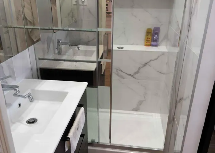 아파트 With Terrace Near The Champs-elysees